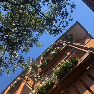 Moizi Hotel